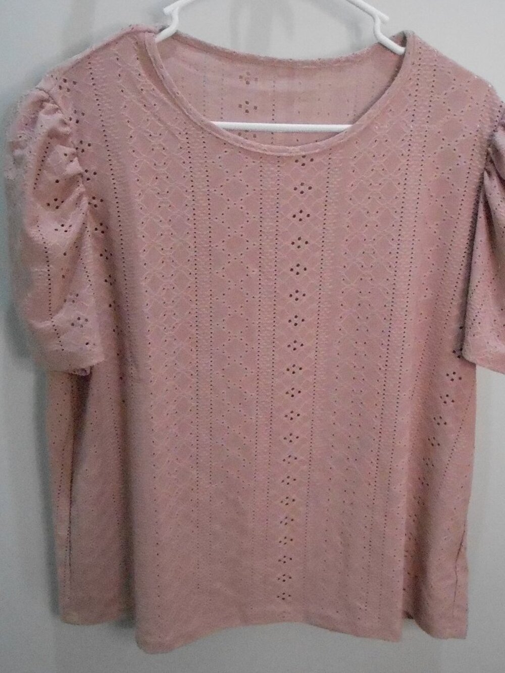 Women's Dusty Rose Pink Short Sleeve Eyelet Round Neck Casual Top Size-2XL